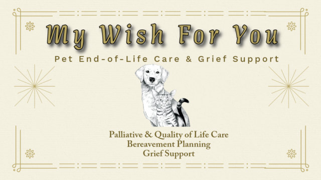 Business-Card-1-1